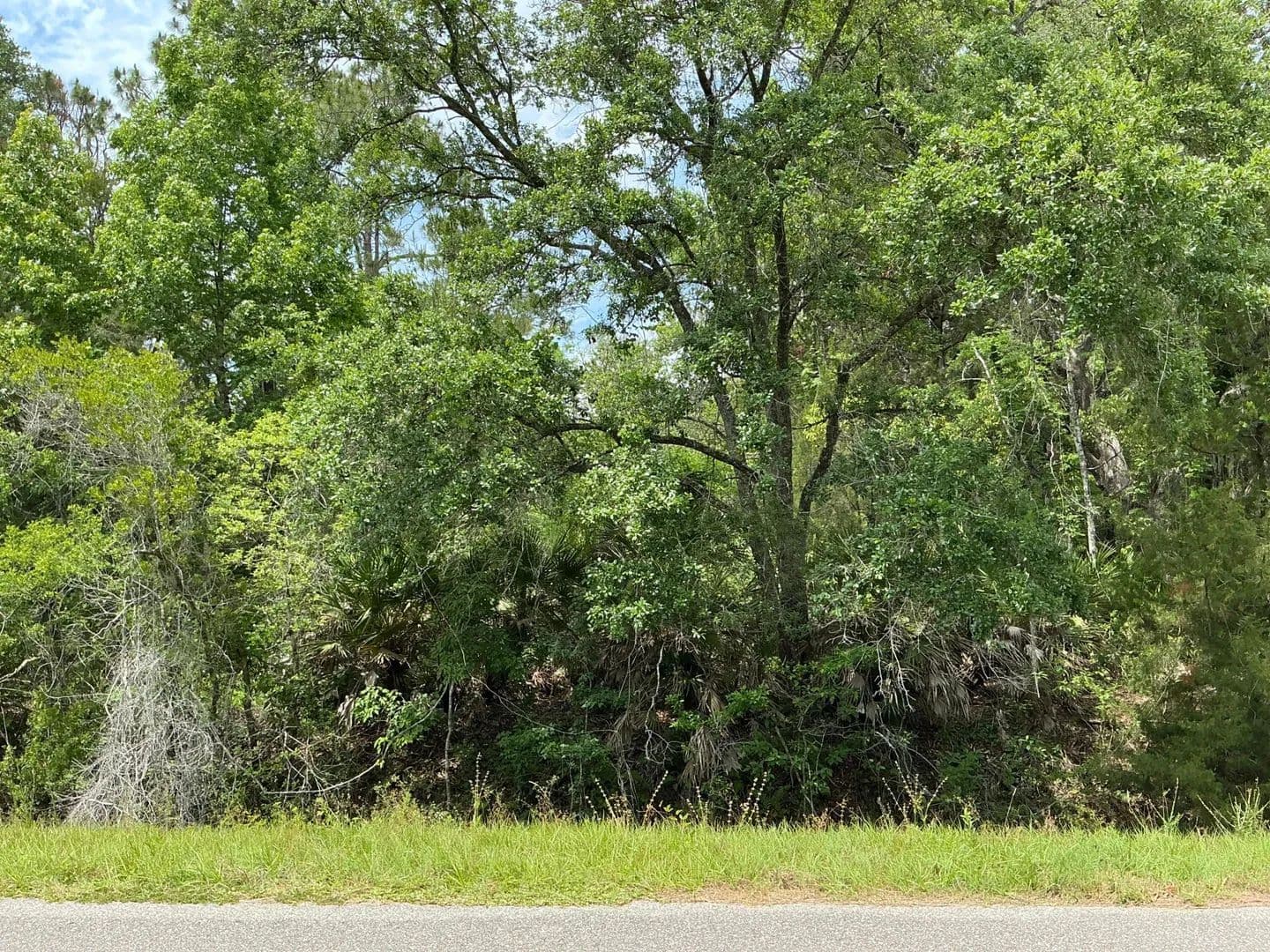 Property from 5020 Stephen Street - KW - Hastings, Florida, 32145