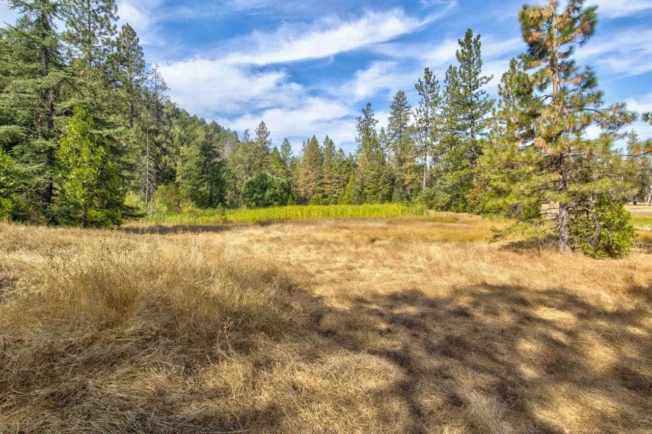 Pioneer Acres - land for sale
