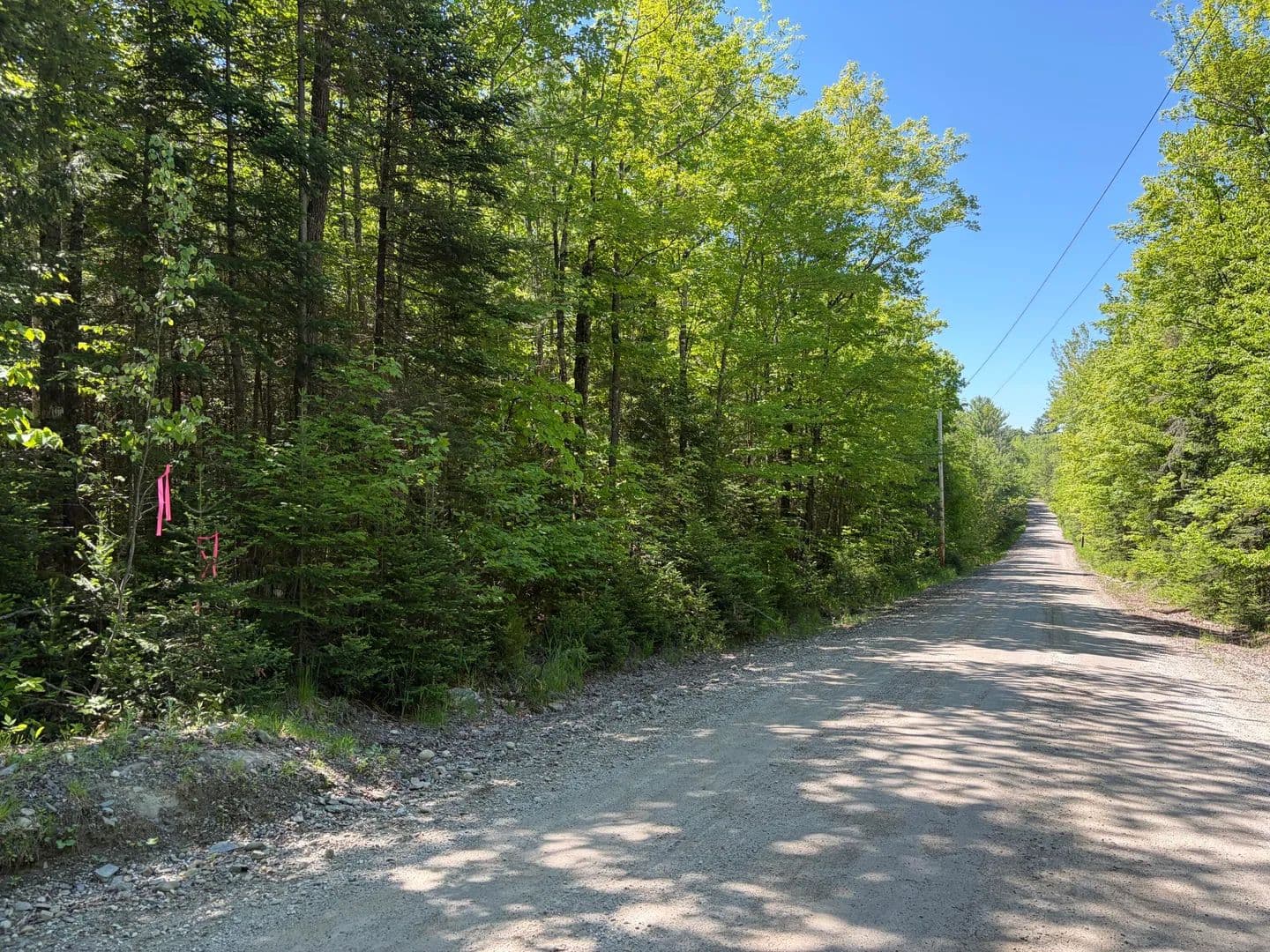 5.79 Acres of Land for Sale in Farmington, Maine - land for sale