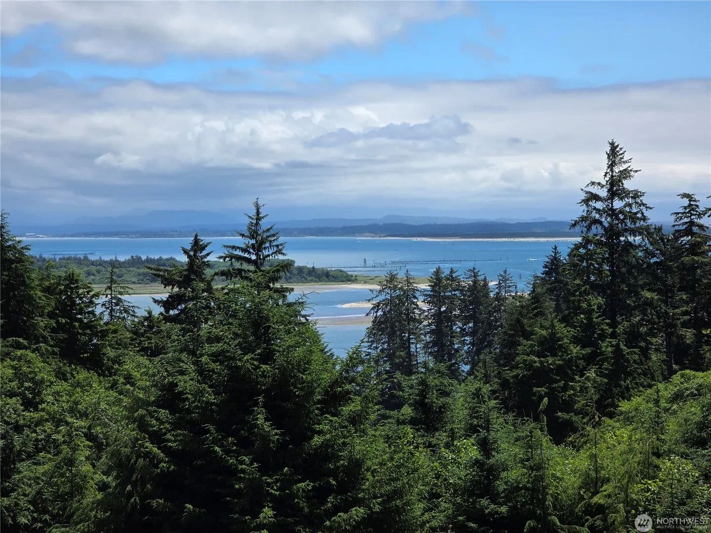 Vacant Land in Ilwaco - Ilwaco, Washington, 98624