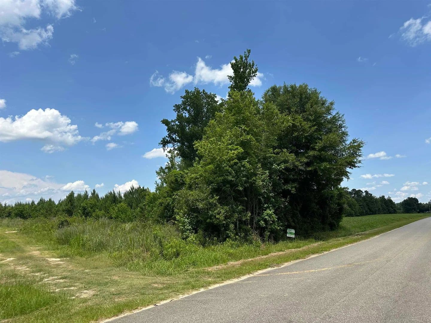 74 Acres of Land for Sale in Green Sea, SC - Green Sea, South Carolina, 29545