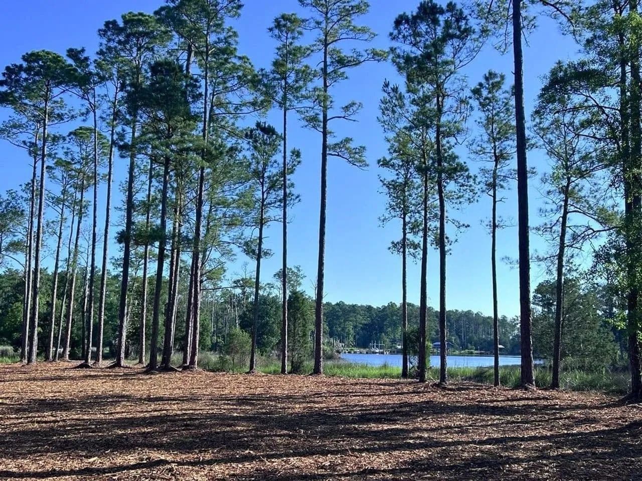 14.11 acres of Residential Waterfront Land For Sale in Beaufort County NC! - Aurora, North Carolina, 27806