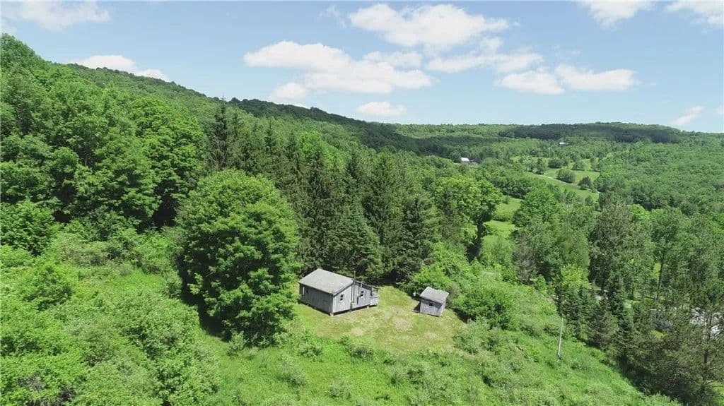 Land -Single Family Acreage in Andes - land for sale
