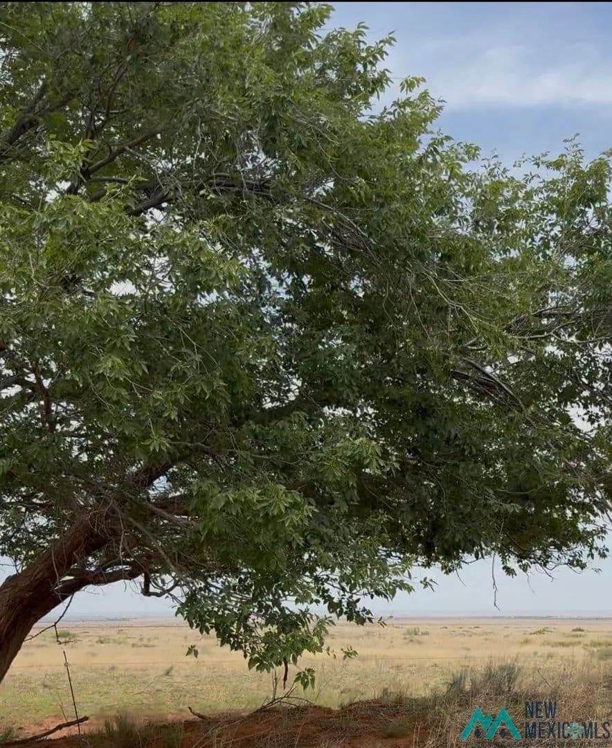 1060 Acres of Land for Sale in Floyd, NM - Floyd, New Mexico, 88118