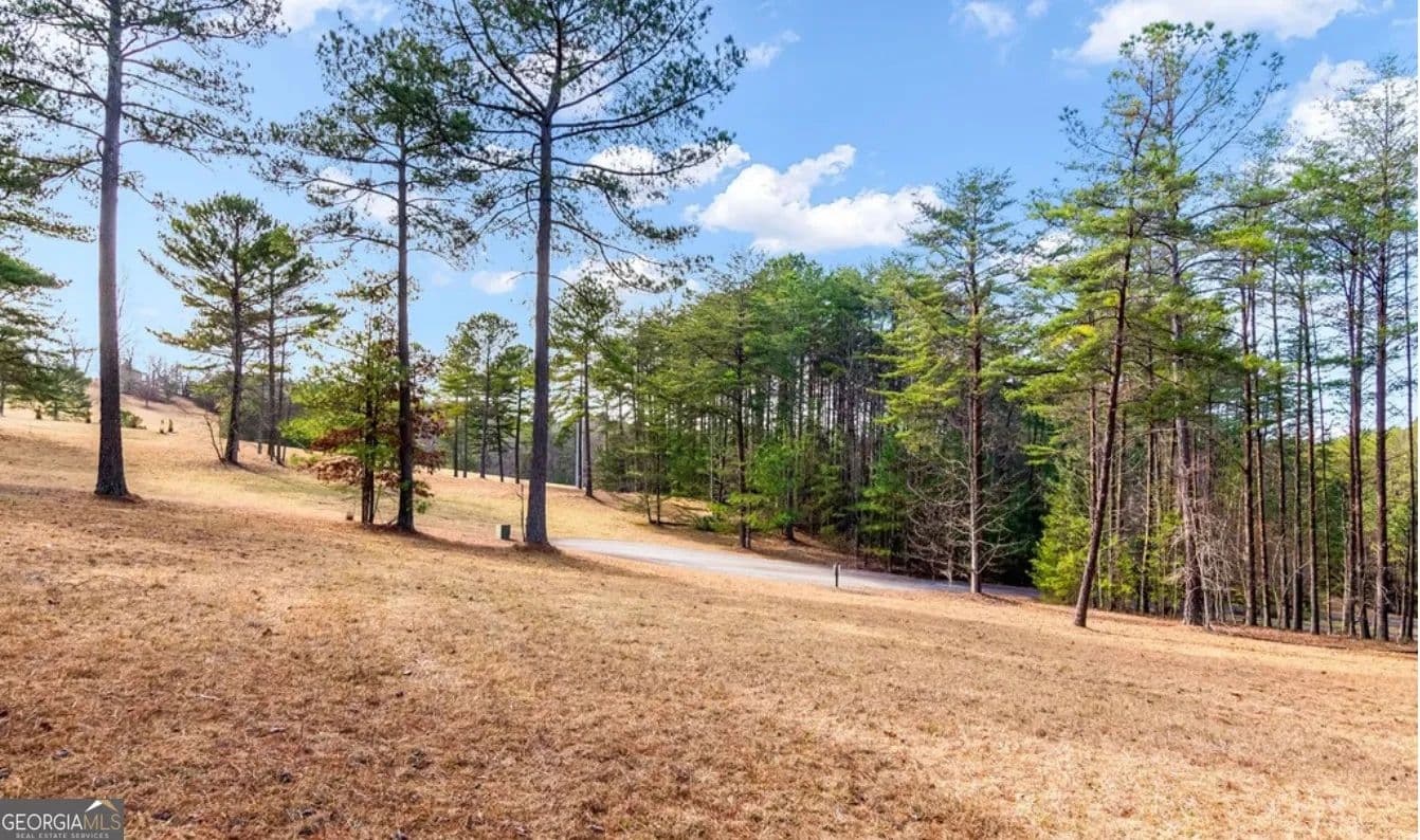 1.17 Acres of Land for Sale in Blairsville, Georgia - Blairsville, Georgia, 30512