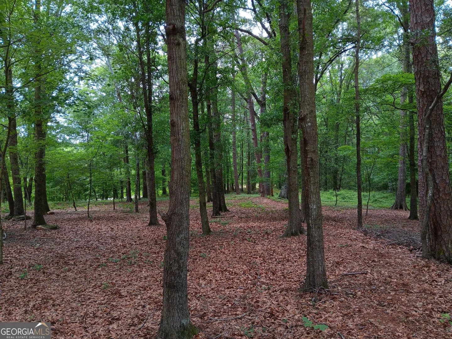 Property from 1109 Dixon Bridge Road - KW - Maysville, Georgia, 30558