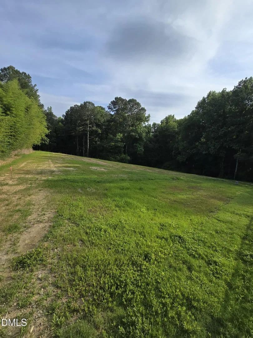 Property from 0 Honeycutt Road - KW - Willow Springs, North Carolina, 27592