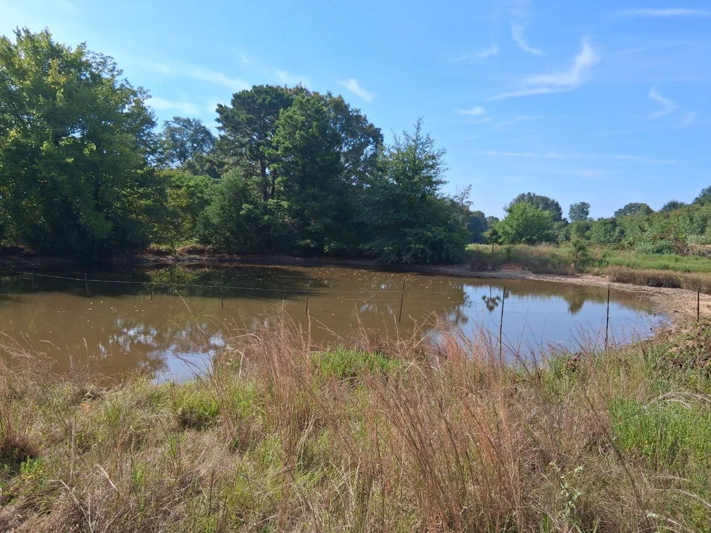 ±100 Acres Ranchland – Near Antlers & Hugo, Oklahoma - Antlers, Oklahoma, 74523