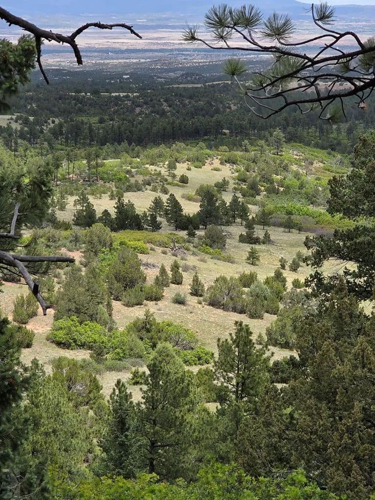 Property from TBD County Road 15 - KW - Florence, Colorado, 81226