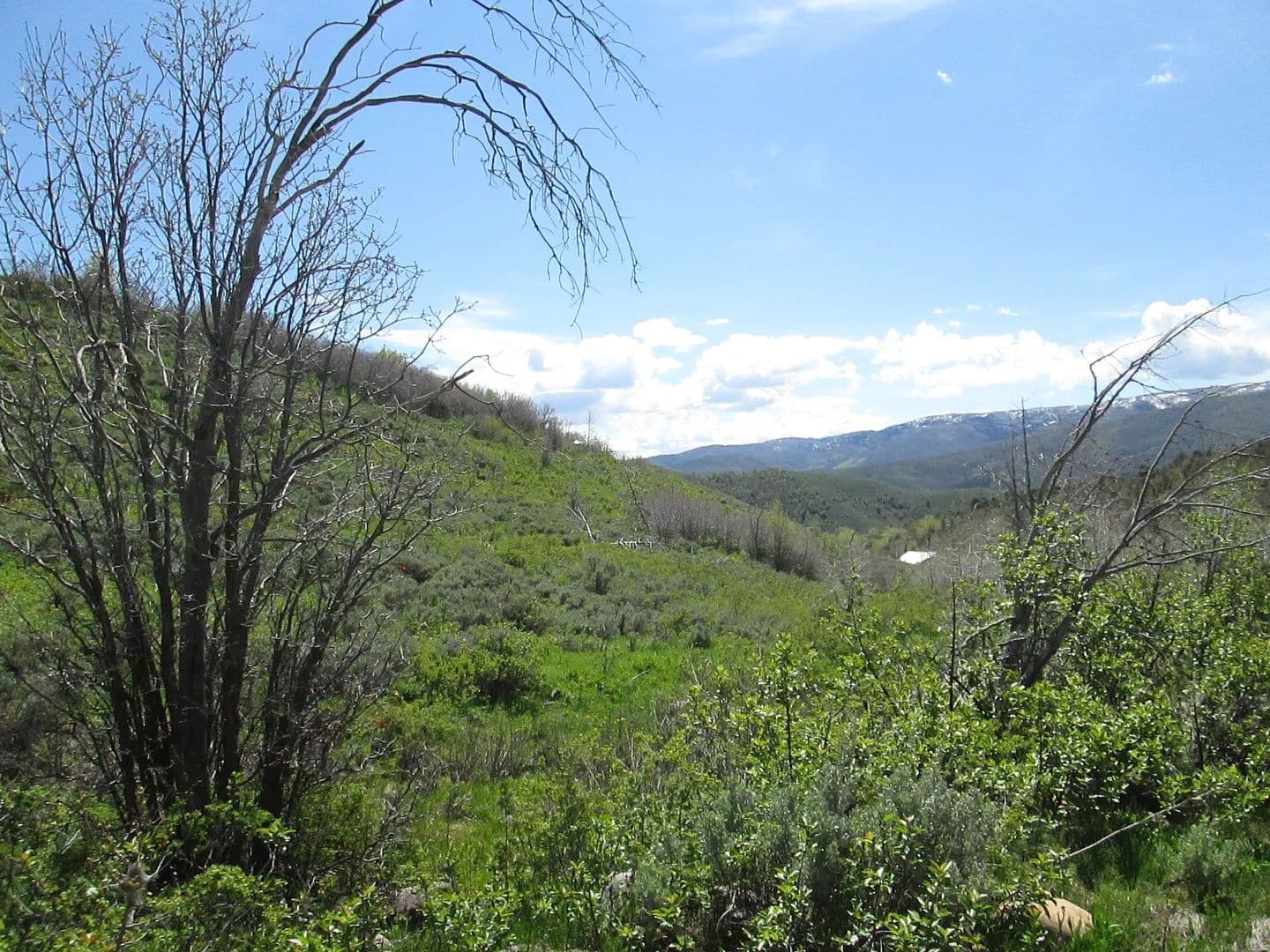 2.17 Acres of Land for Sale in Huntsville, UT - Huntsville, Utah, 84317