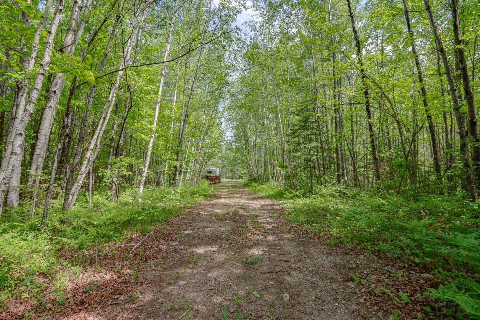 Property from 68990 Great River Road - KW - Jacobson, Minnesota, 55752