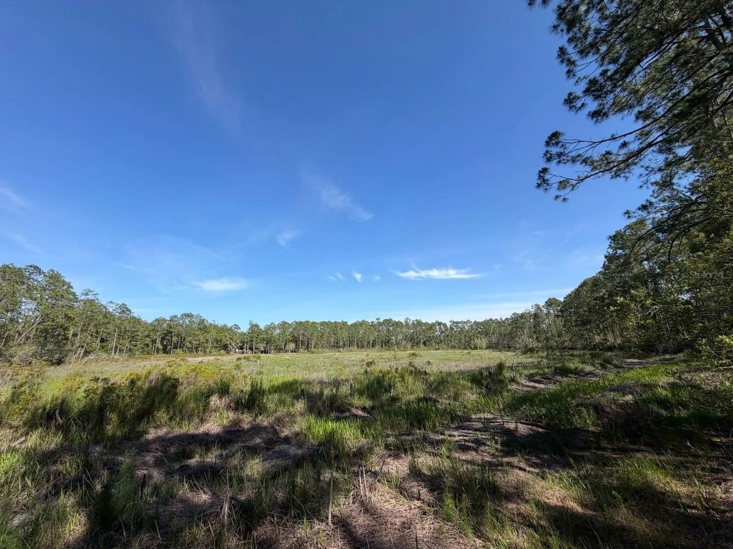 Property from TBD NE 114 AVE ROAD - KW - Fort Mc Coy, Florida, 32134