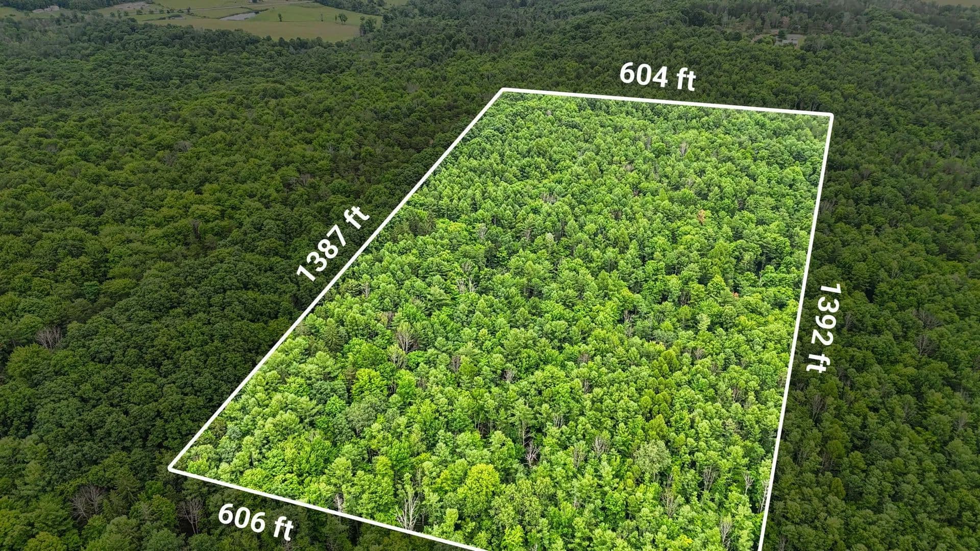 Vacant Land in Danby - land for sale