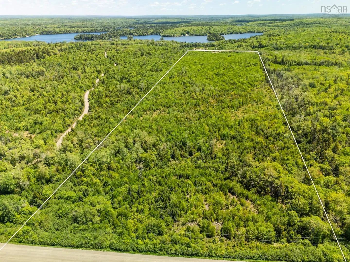38.72 Acres of Land for Sale in Briar Lake, Hectanooga Road #Lot, - land for sale