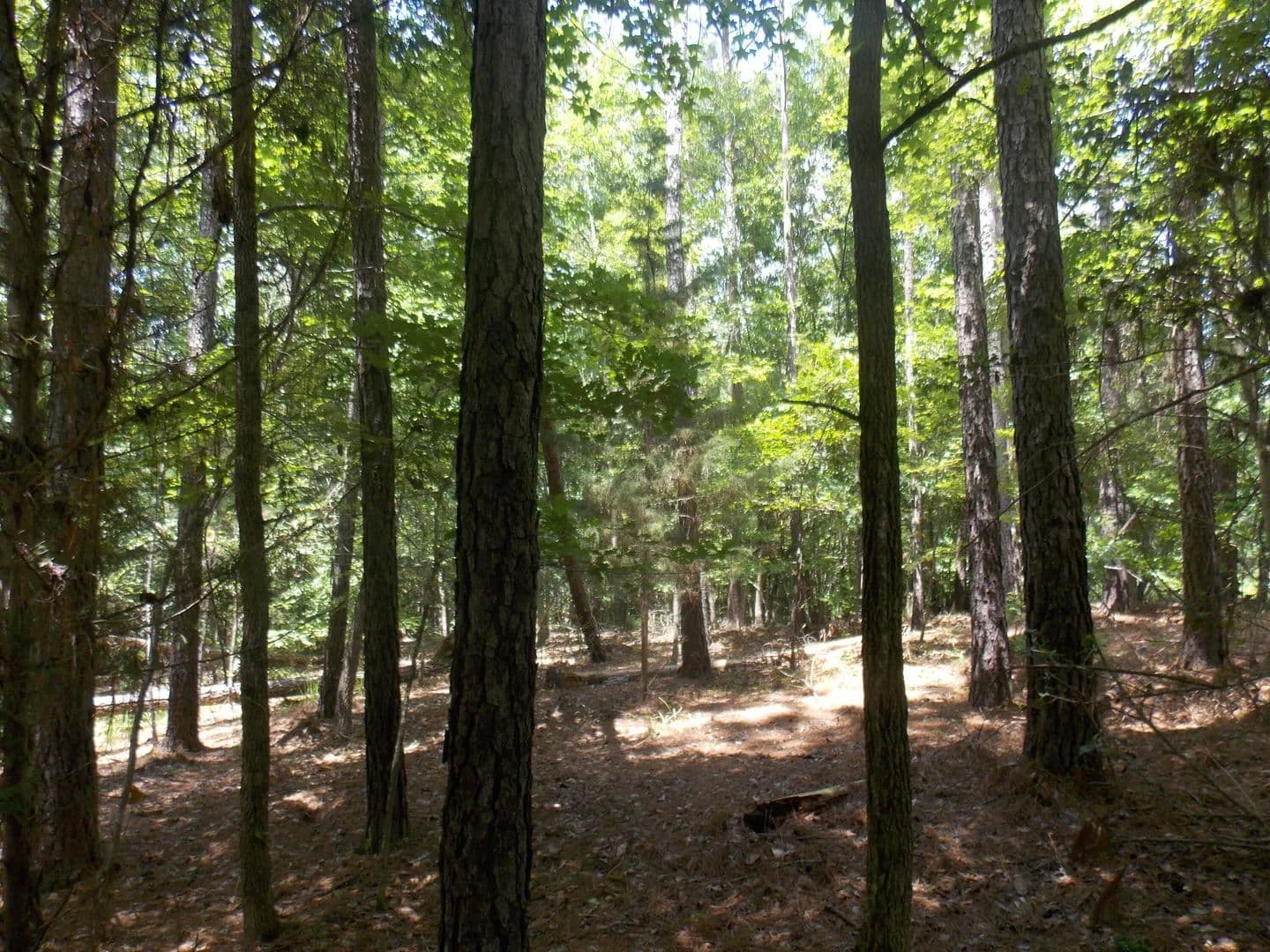 Lots & Land-Other in Tignall - Tignall, Georgia, 30668