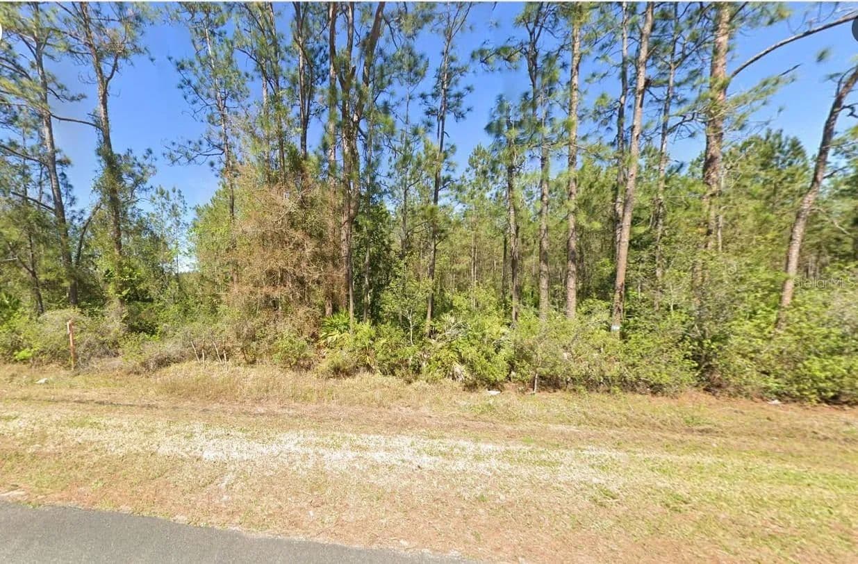 6.3 Acres of Land for Sale in BUNNELL, FL - Bunnell, Florida, 32110
