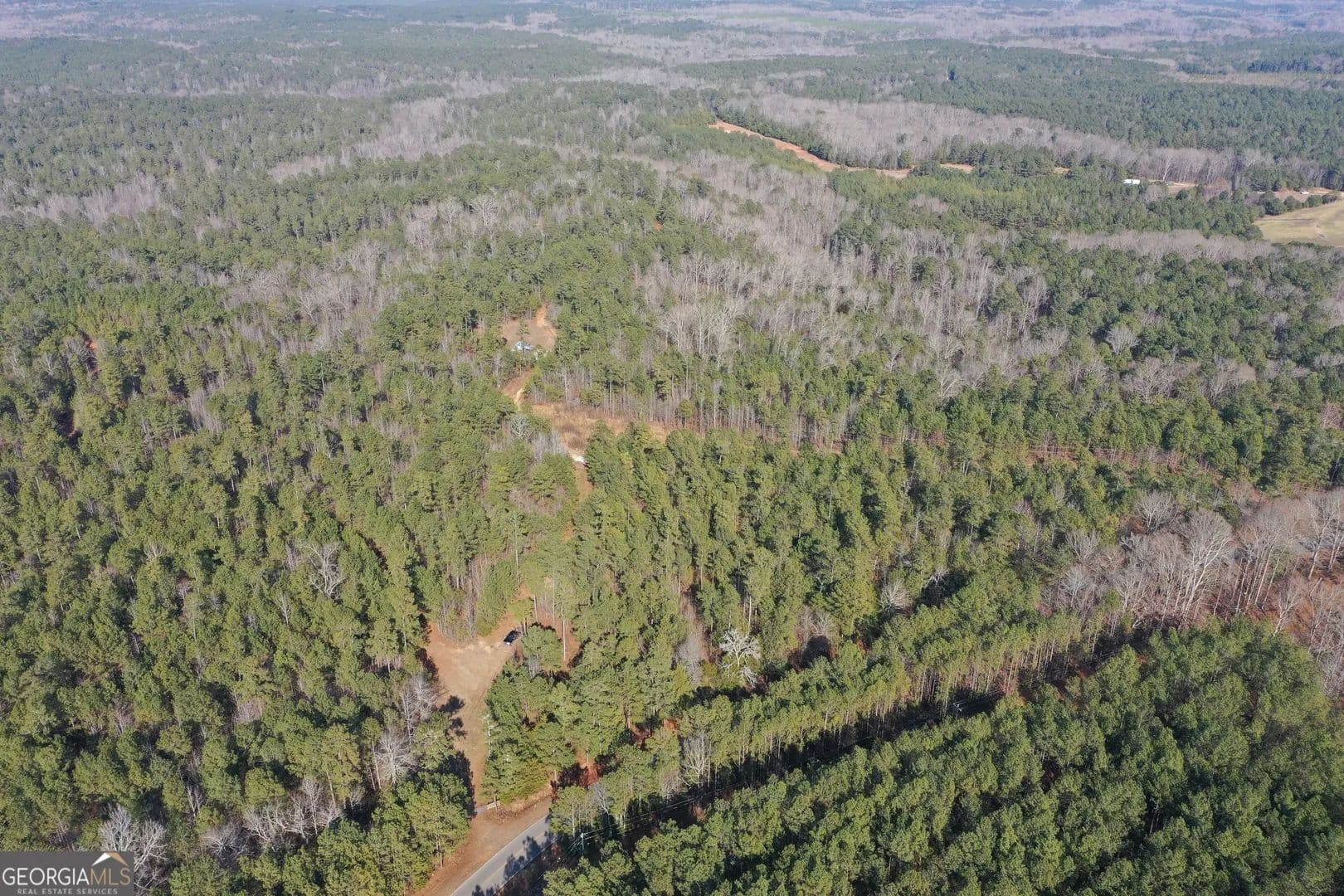 83.85 Acres of Land for Sale in Elberton, GA - Elberton, Georgia, 30635