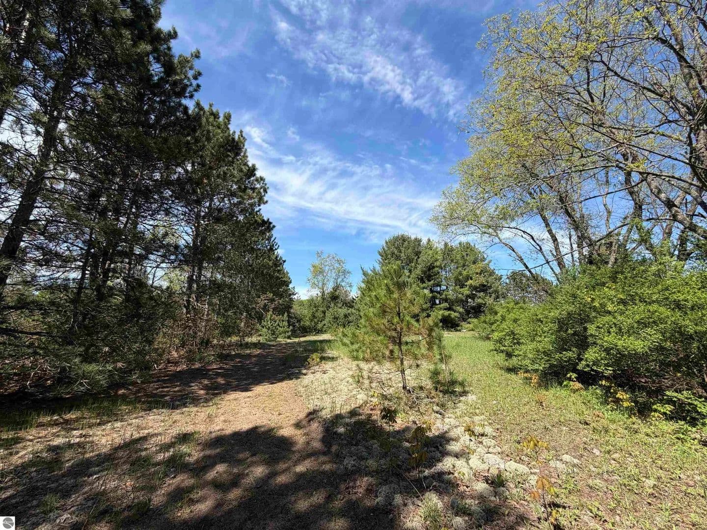 20 Acres of Land for Sale in Beulah, Michigan - Beulah, Michigan, 49617