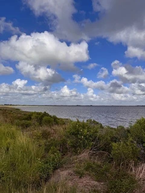 Vacant Land in Palacios - Palacios, Texas, 77465