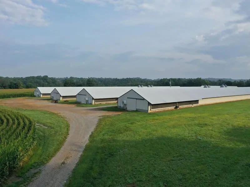 Stoney Creek Broiler Farm and Cropland – Campbellsville, Kentucky - Campbellsville, Kentucky, 42718