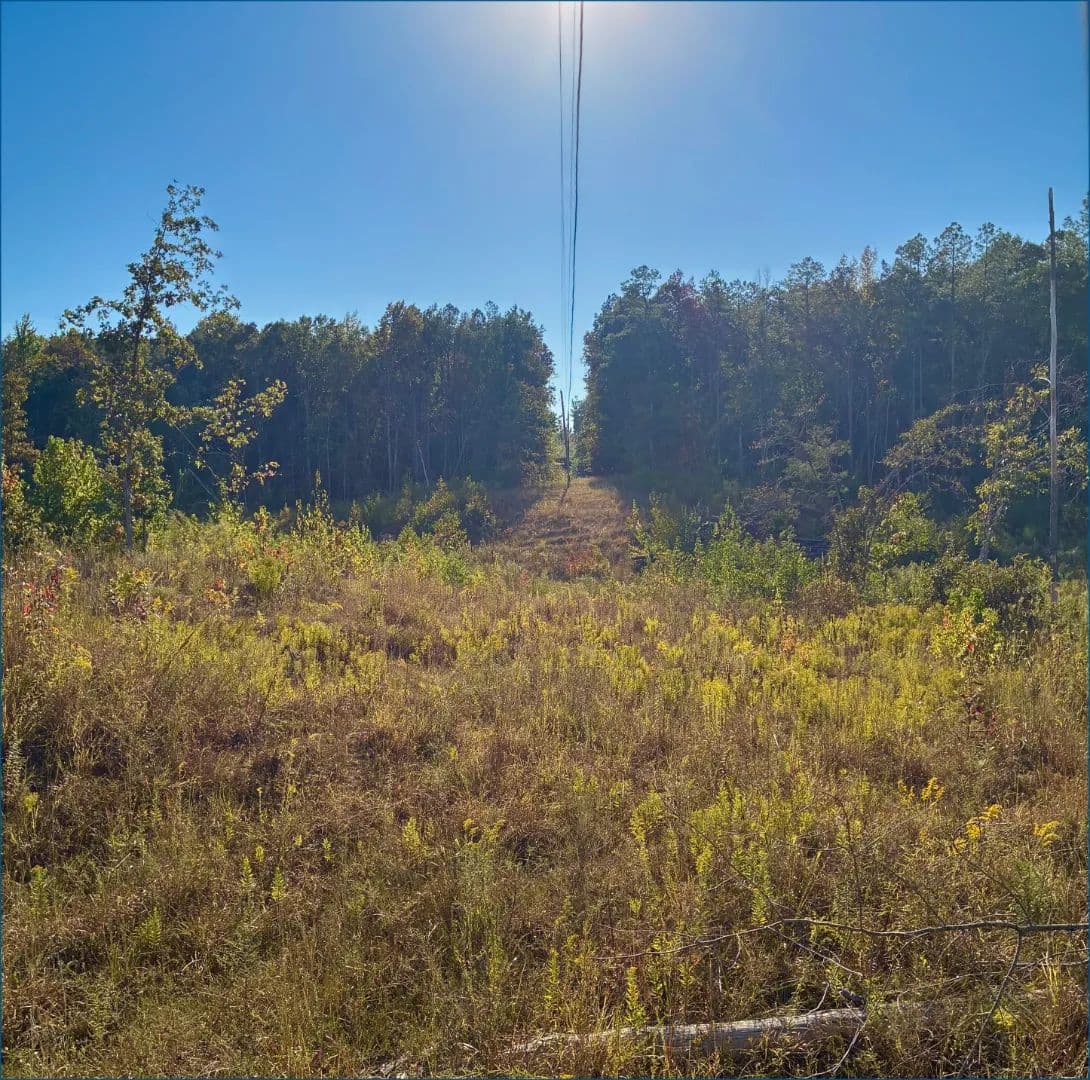 70.1 Acres in Yalobusha County in Coffeeville, MS - land for sale