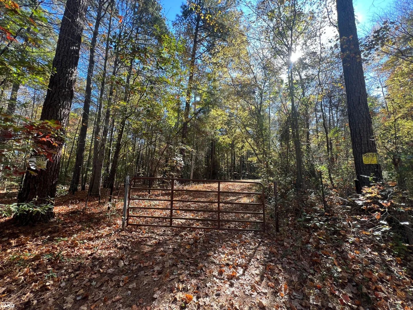 Spotsylvania Timber and Development Tract - Spotsylvania Courthouse, Virginia, 22551