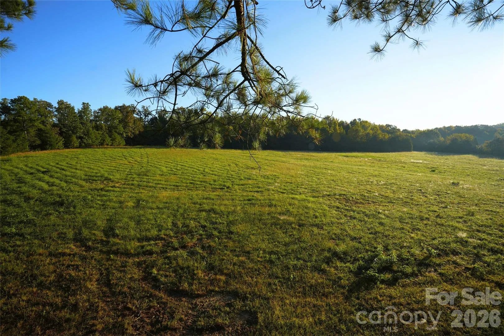 58 Acres of Land for Sale in Chester, SC - Chester, South Carolina, 29706