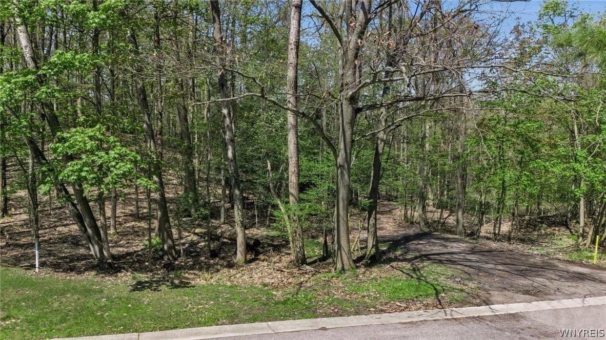 Lots & Land-Other in Orchard Park - Orchard Park, New York, 14127