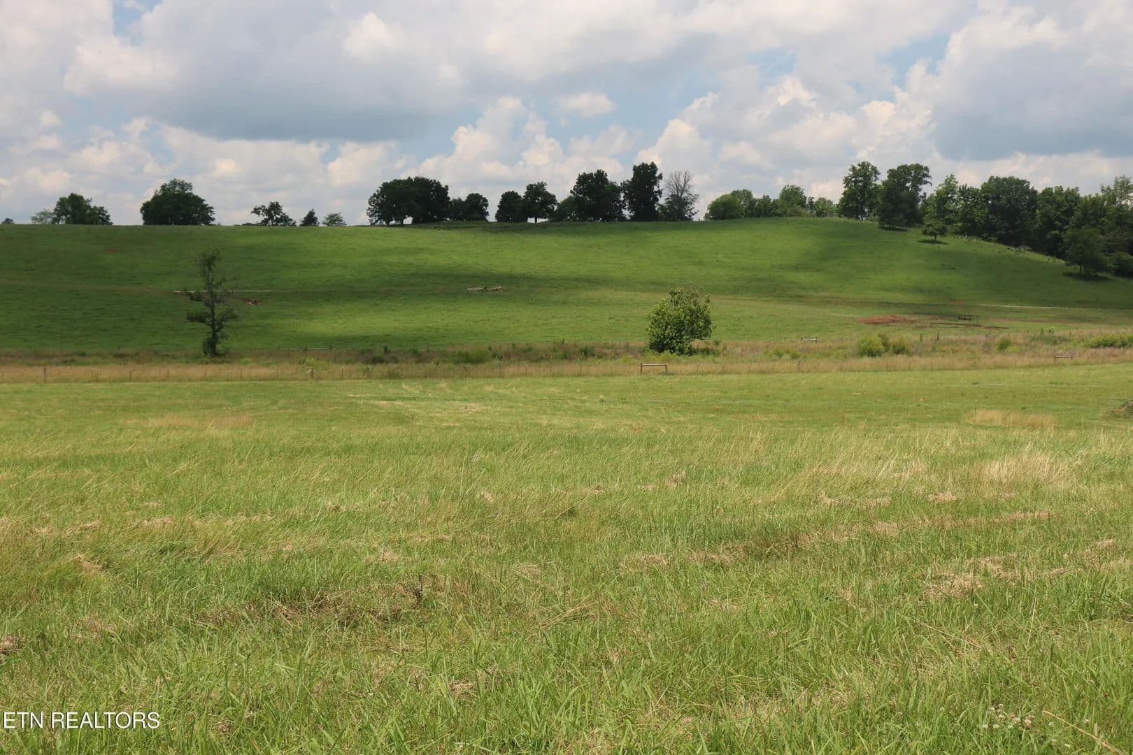 Property from Lot 4R County Road 461 - KW - Englewood, Tennessee, 37329