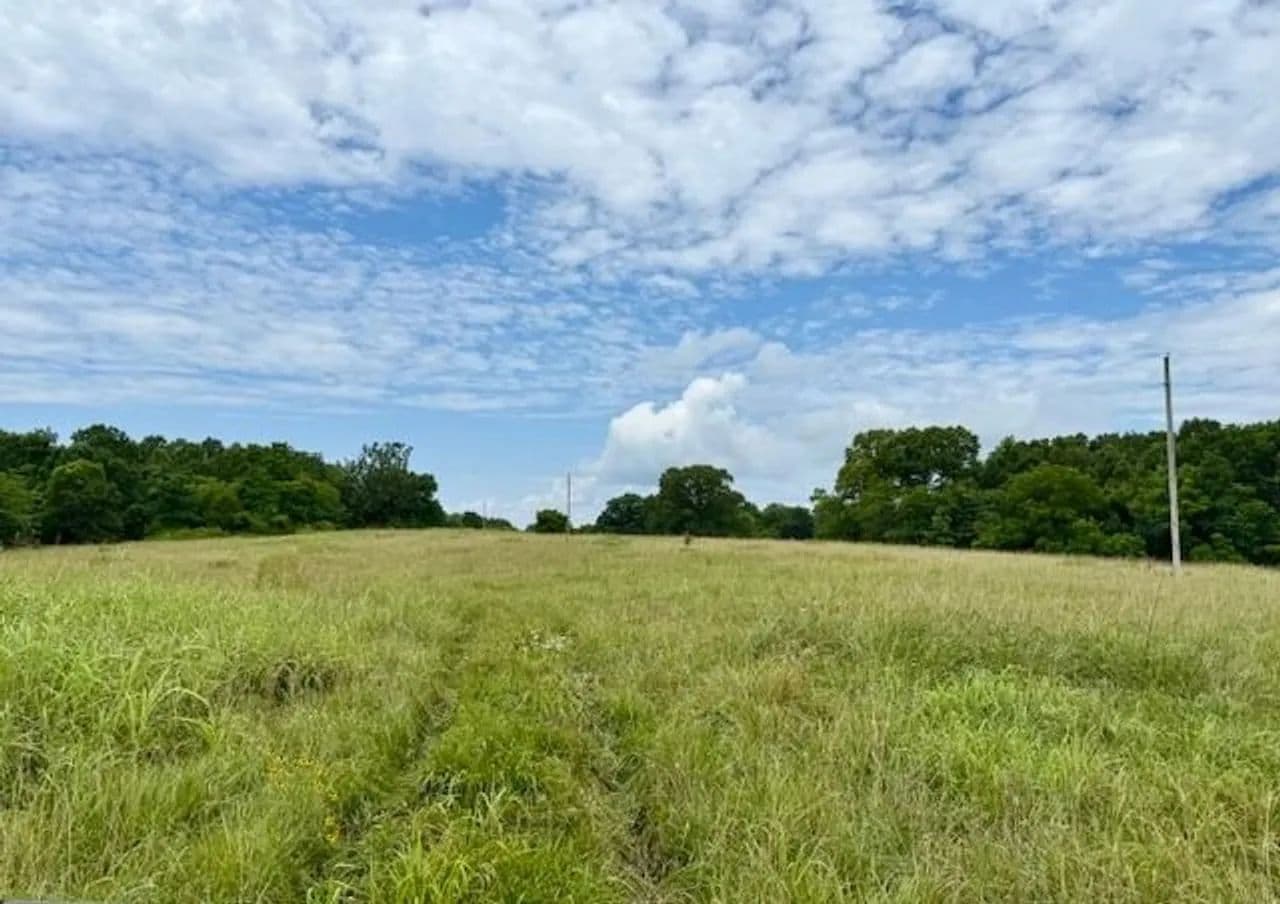 100 Acres, Ponds, Creek, SECLUDED, Electric, Ozark County - Ava, Missouri, 65608
