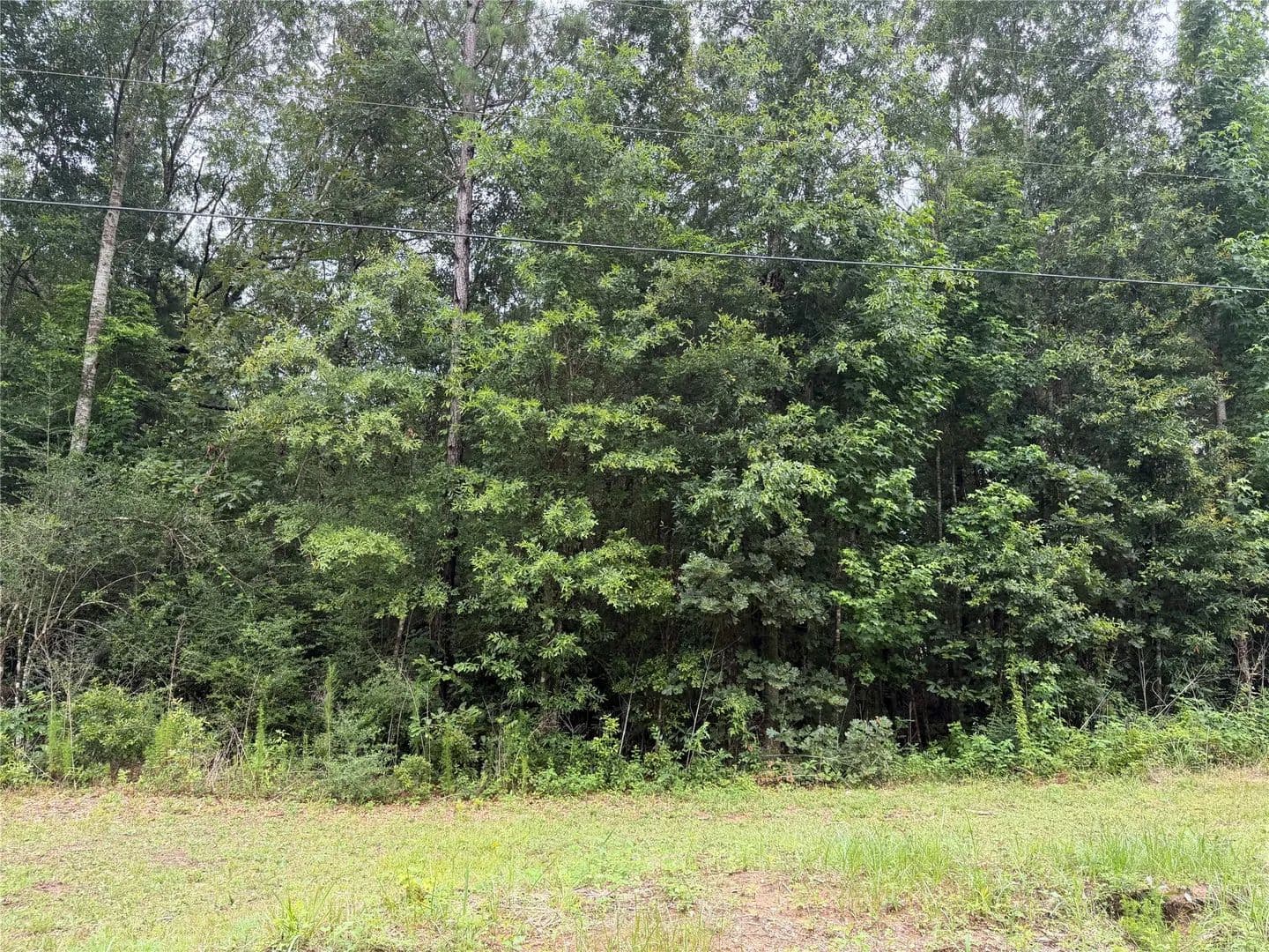 Property from TBD Buffalo Subdivision - KW - Livingston, Texas, 77351