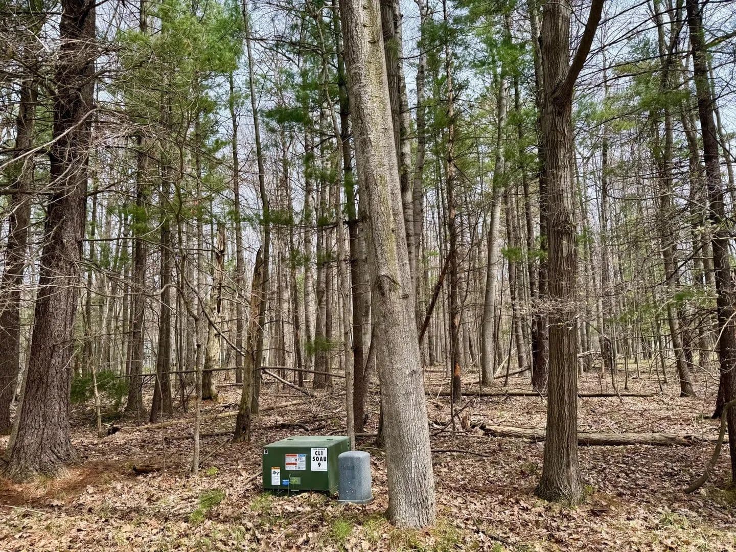 Lots & Land-Other in Canadian Lakes - Canadian Lakes, Michigan, 49346