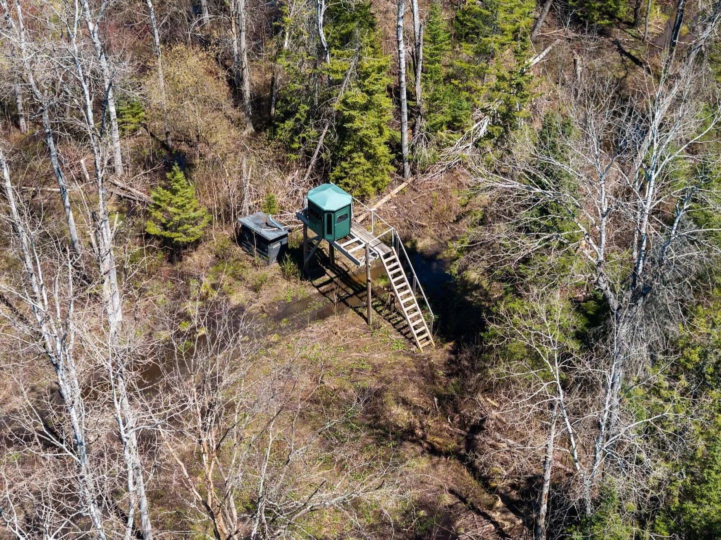 Vacant Land in Wolverine - Wolverine, Michigan, 49799