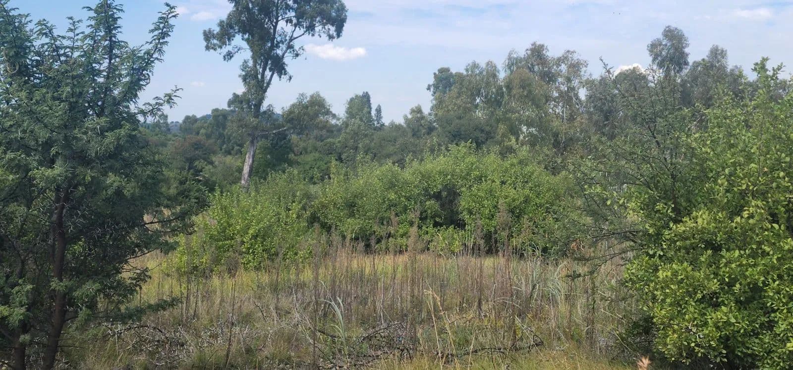 1000 Acres of Land for Sale in Vaal Marina, Gauteng - land for sale