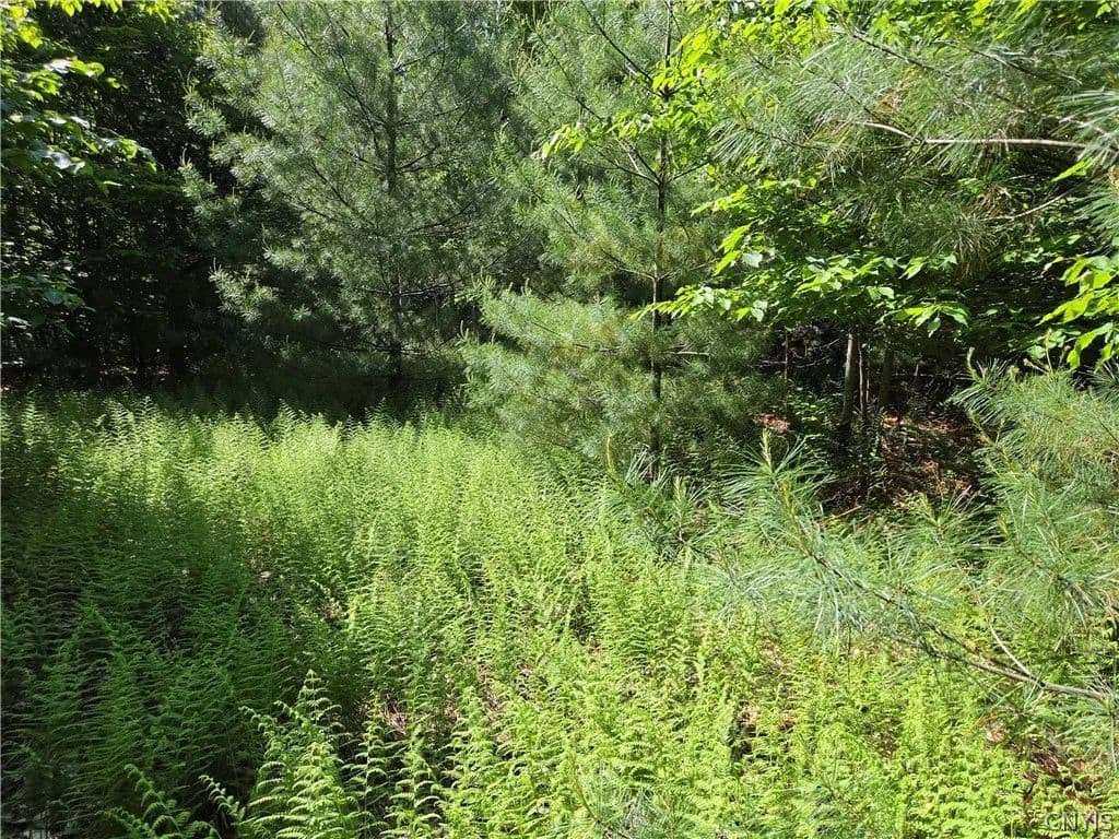 19.7 Acres of Land for Sale in Lyons Falls, New York - Lyons Falls, New York, 13368