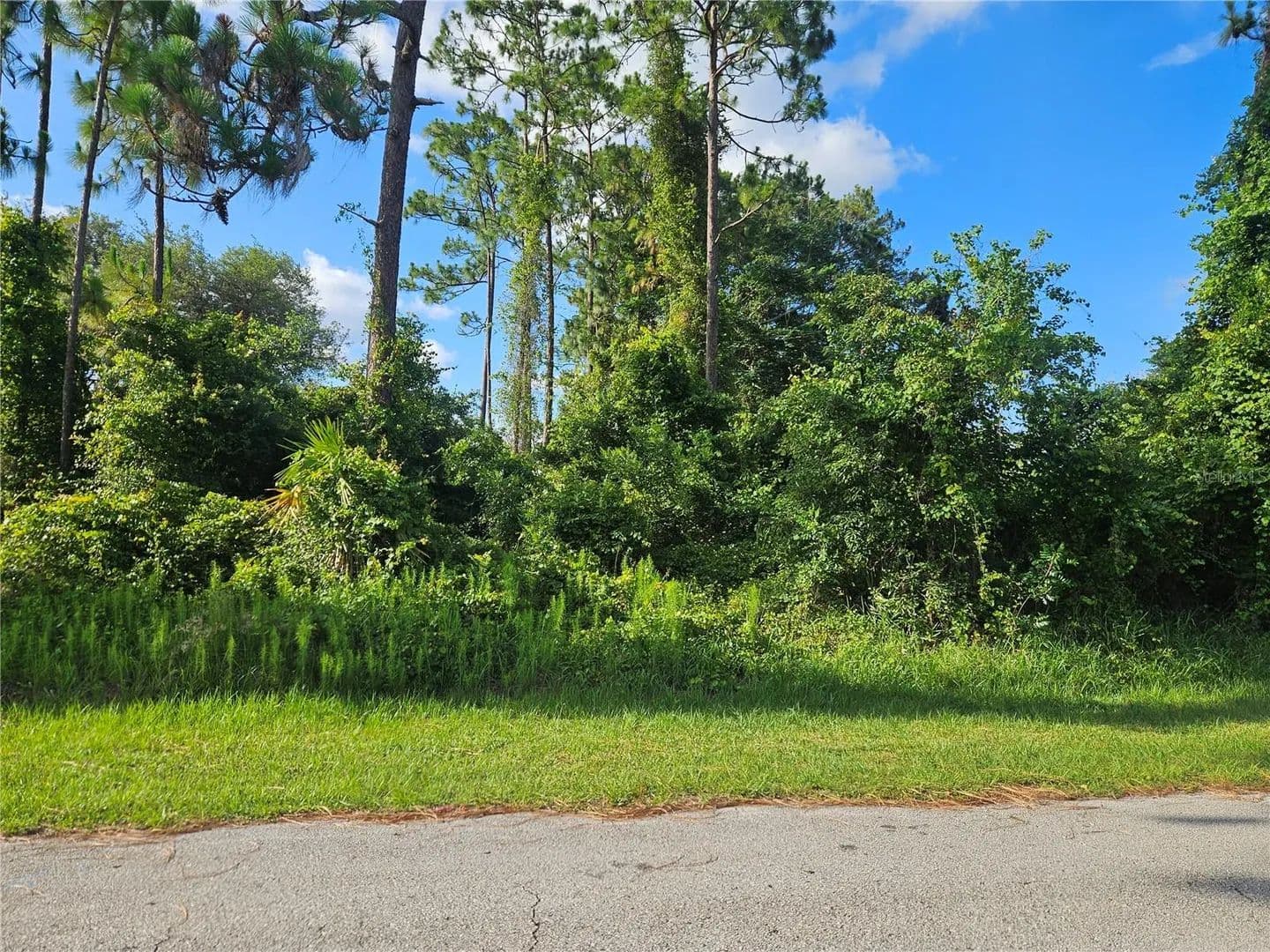 Property from 2318 WHITEHORSE STREET - KW - Deltona, Florida, 32738