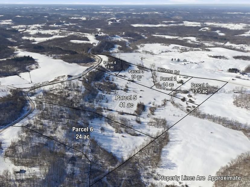 St Rt 376 Parcel 5 - 41 acres