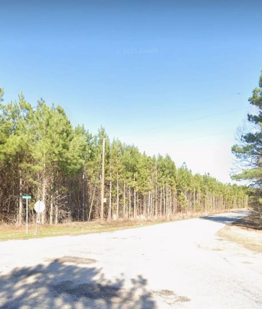 Vacant Land in Holly Hill - Holly Hill, South Carolina, 29059