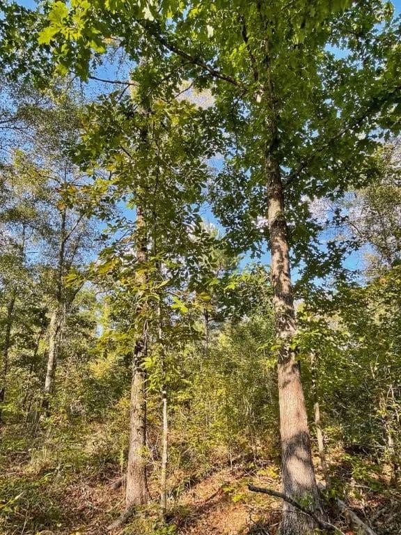 Highway 36 E ~ Tract 1