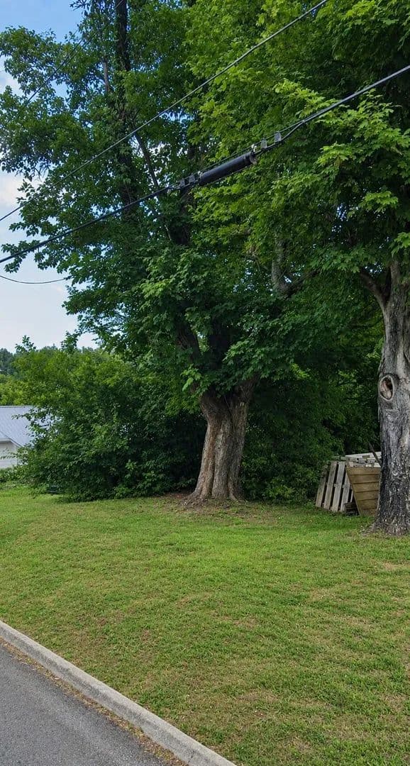 Property from 233 Blair Street - KW - Morristown, Tennessee, 37814
