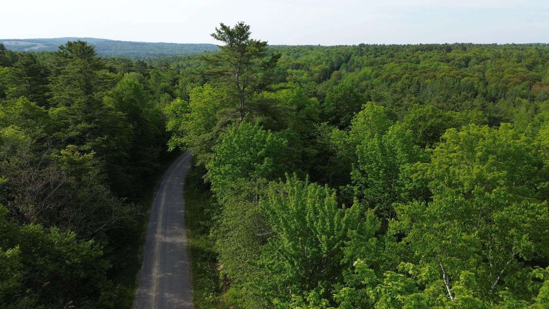 48 Acres of Land for Sale in Prospect, Maine - Prospect, Maine, 04981