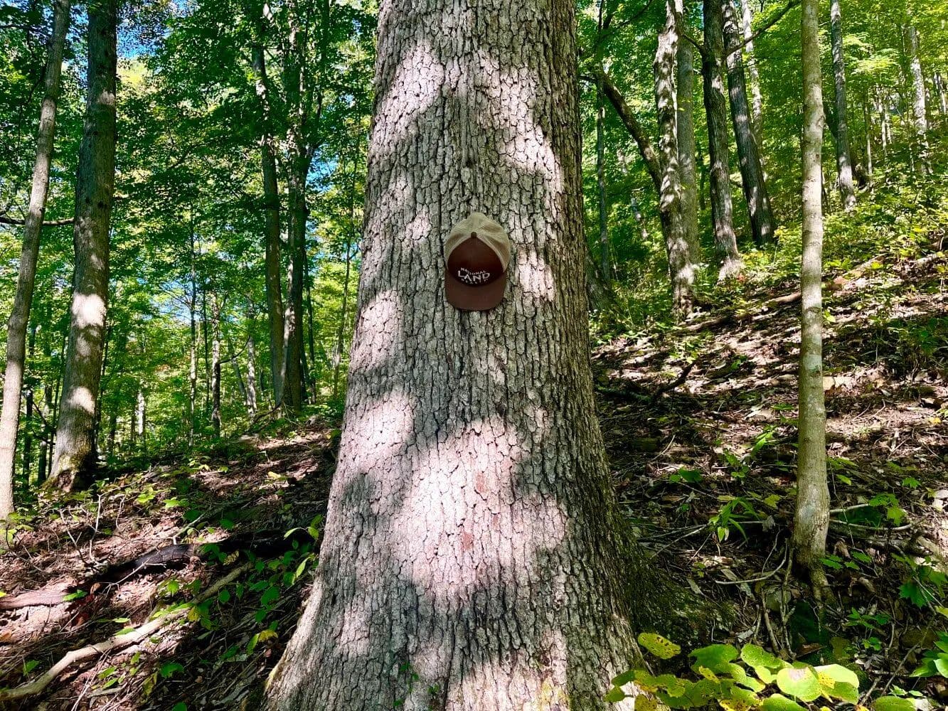 Mature Timber Investment Opportunity - Irvine, Kentucky, 40336