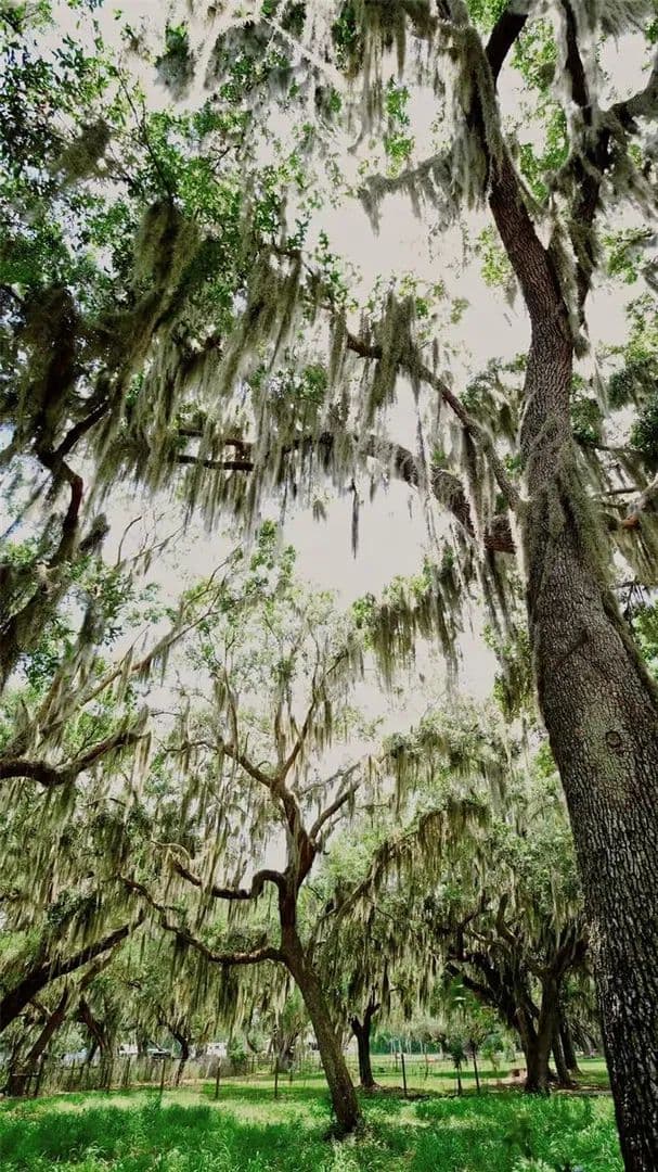 1.2 Acres of Land for Sale in Osceola County, Florida - Florida, 34772
