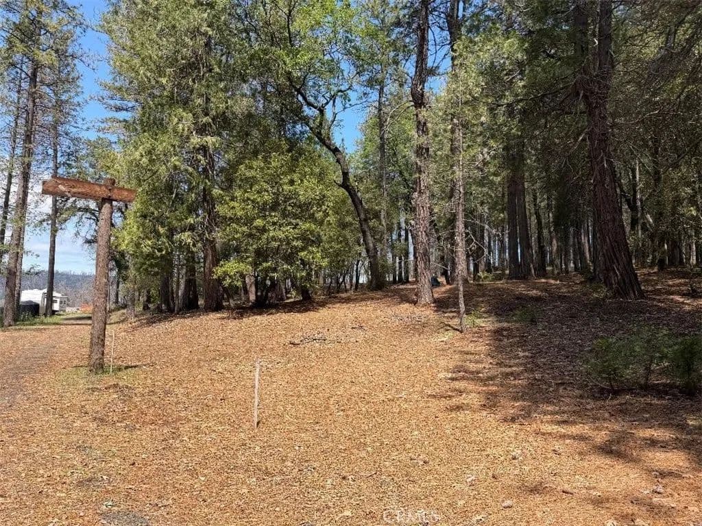 Property from 4631 Dear Abby - KW - Forest Ranch, California, 95942