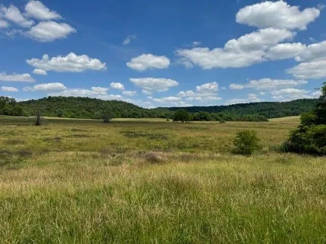 Property from Tract 4 L And N Turnpike Road - KW - Horse Cave, Kentucky, 42749