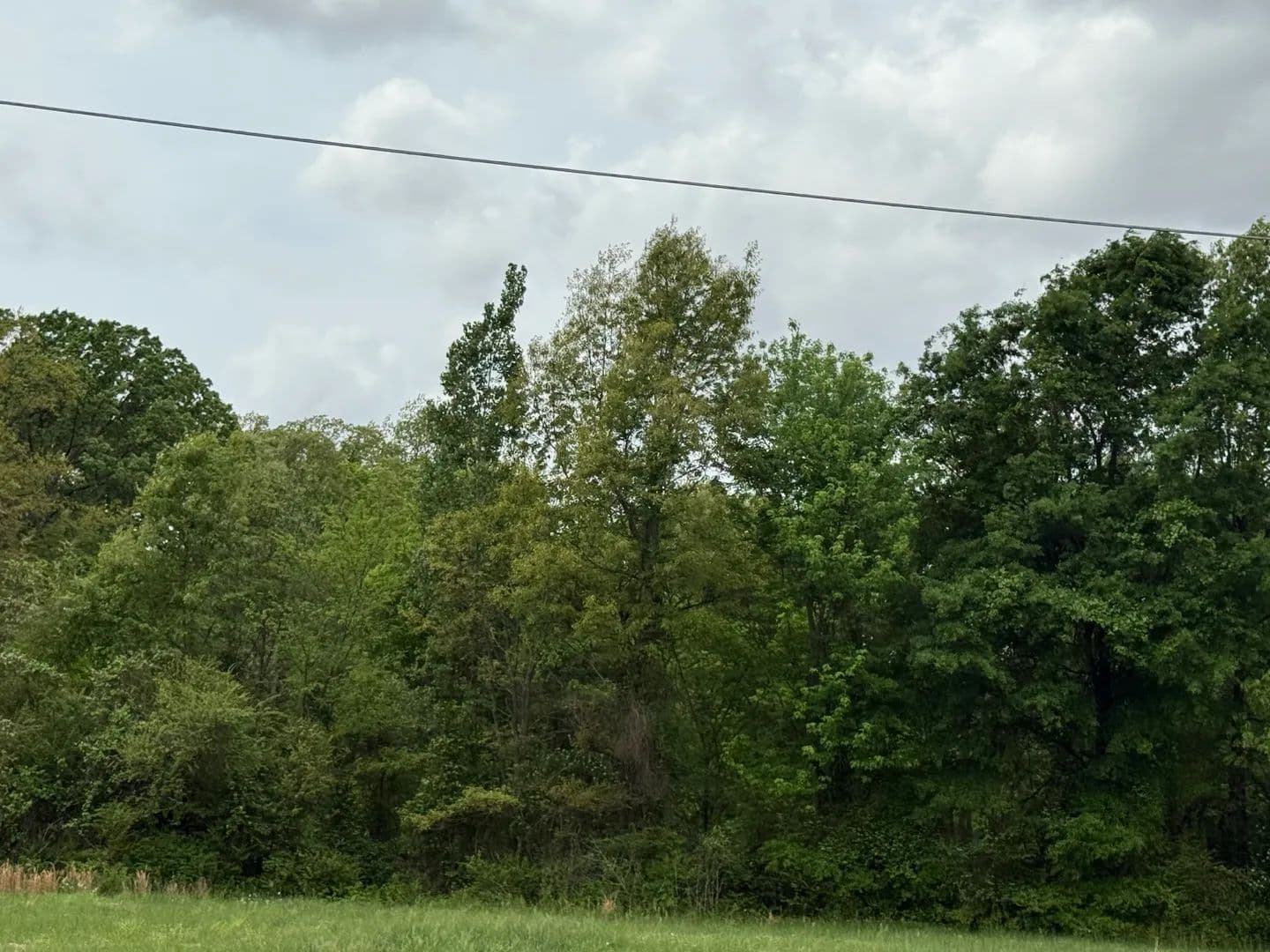 Land -Single Family Acreage in Dyer - Dyer, Tennessee, 38230