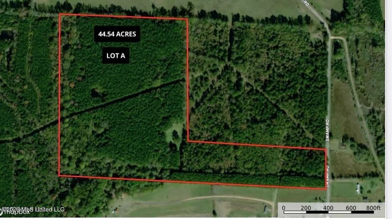 Property from Swamp Road - KW - Carthage, Mississippi, 39051