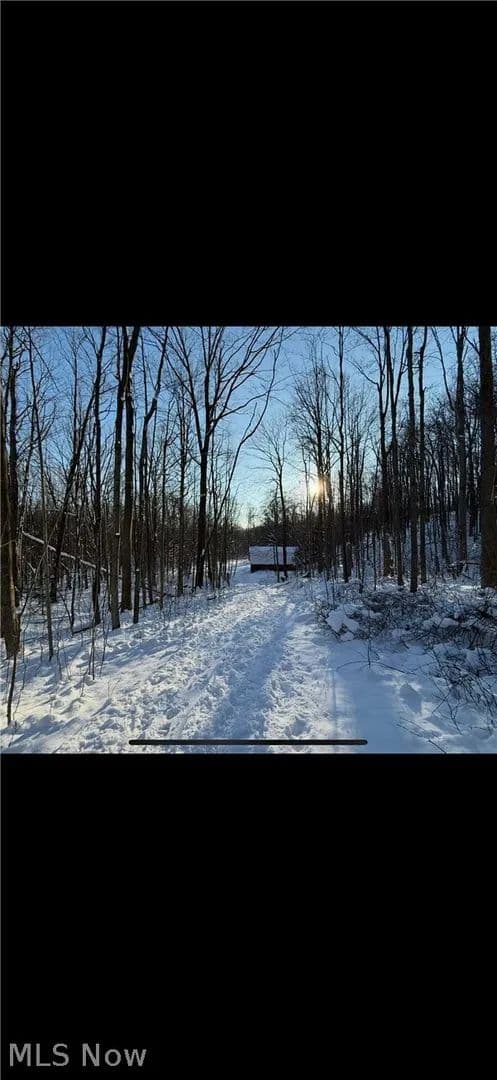 9.19 Acres of Land for Sale in Chardon, Ohio - Chardon, Ohio, 44024