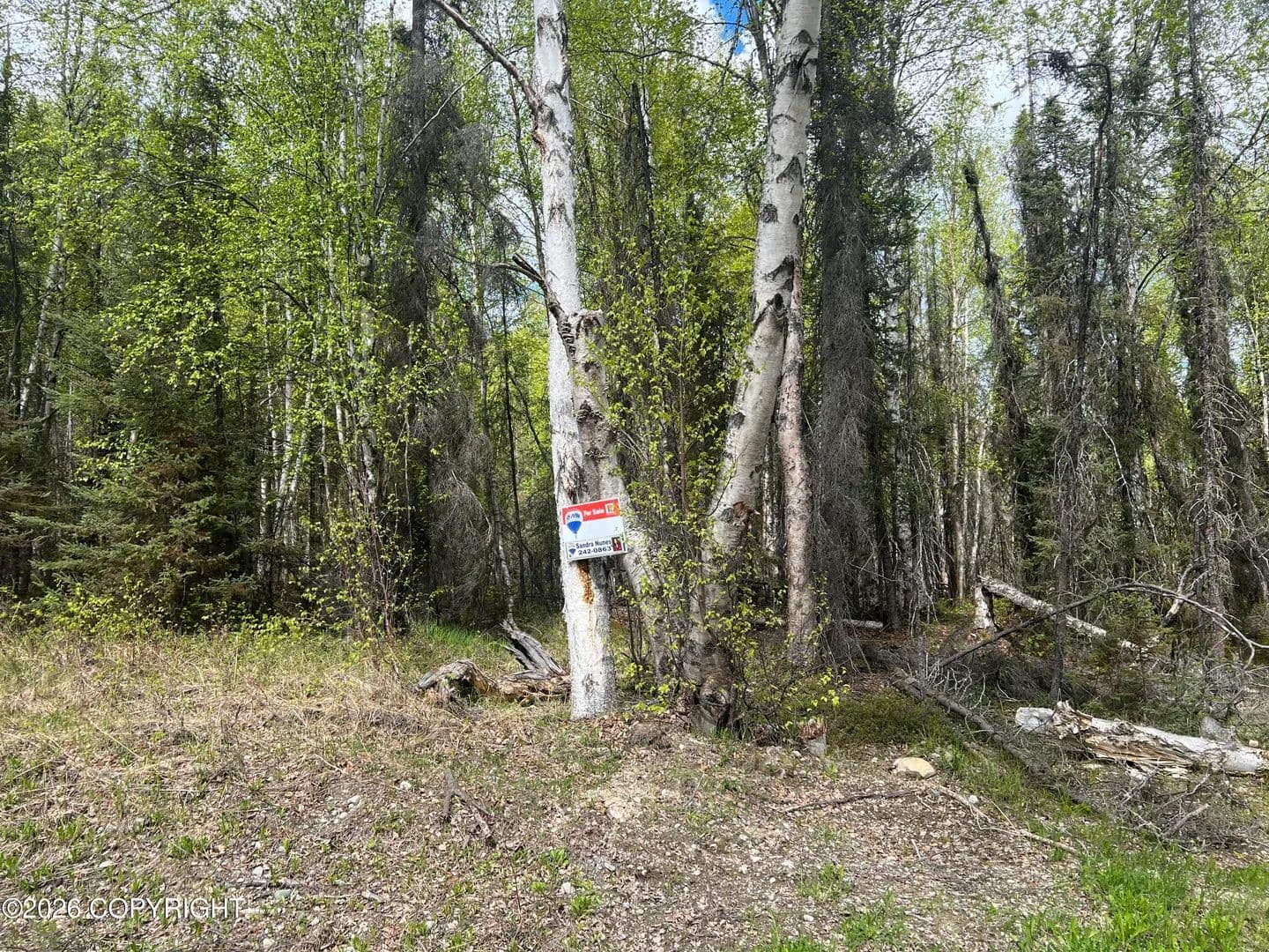 Property from 3762 N White Knight Drive - KW - Wasilla, Alaska, 99623