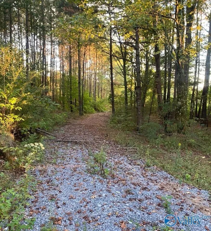 Property from 3.7 Acres County Highway 10 - KW - Blountsville, Alabama, 35031